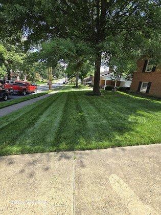 Ariana lawn and lanscaping
