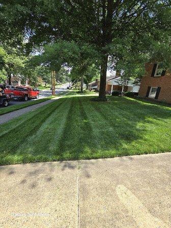 Ariana lawn and lanscaping