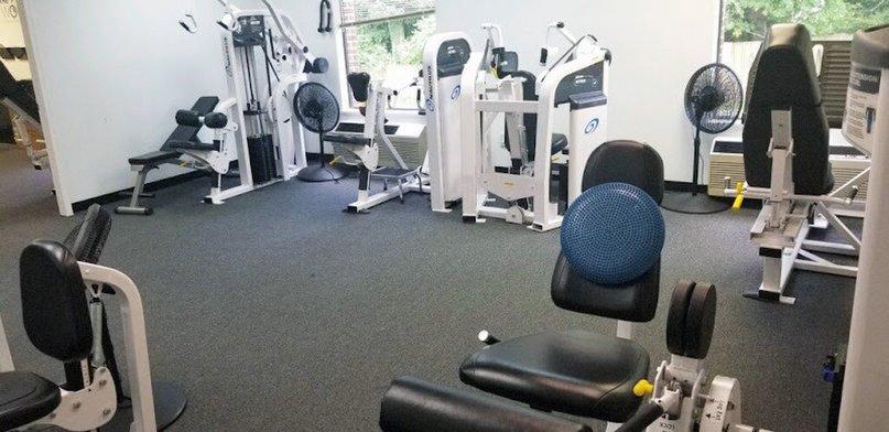 The Perfect Workout