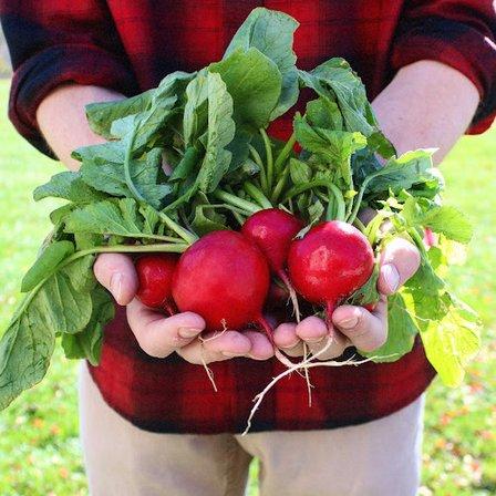JK Community Farm