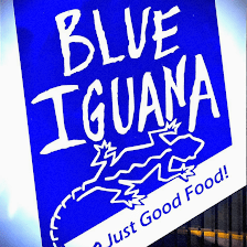 Blue Iguana