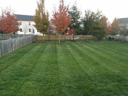 Reliable Lawn Care