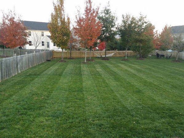Reliable Lawn Care