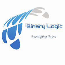 Binary Logic IT LLC