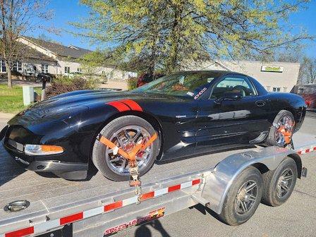 Stingrays Auto Body