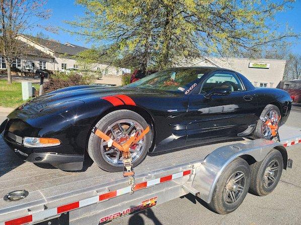 Stingrays Auto Body
