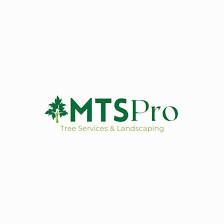 MTS-Pro Tree Service & Landscaping LLC
