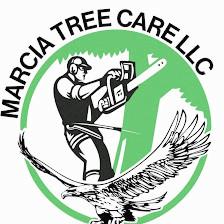Marcia Tree Care LLC