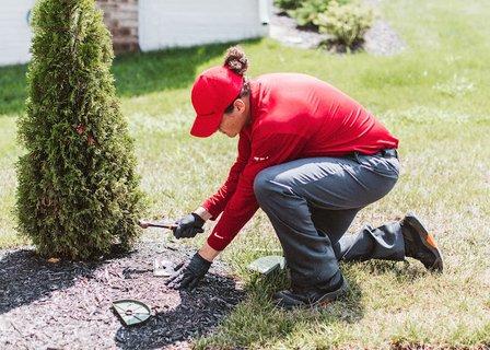 Frontline Pest and Termite of Manassas