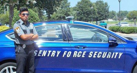 Sentry Force Security