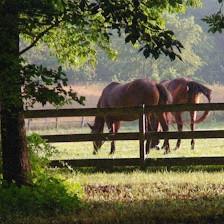 Kinsman Farm