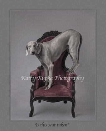 Kathy Kupka Photography