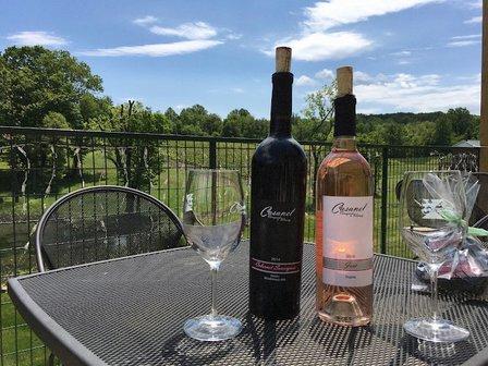 Casanel Vineyards & Winery