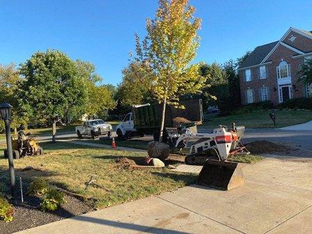 MTS-Pro Tree Service & Landscaping LLC