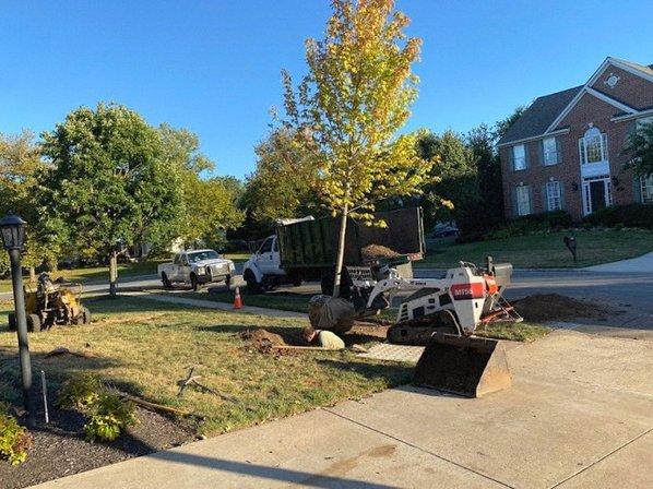MTS-Pro Tree Service & Landscaping LLC
