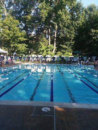 Lakeview Swim Club