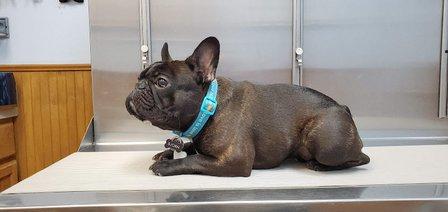 Heritage Animal Hospital