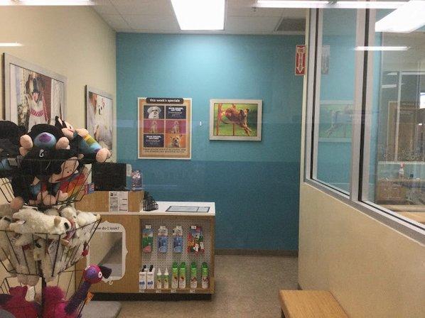 Petco Grooming