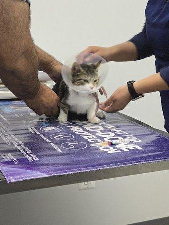 Manassas Animal Hospital