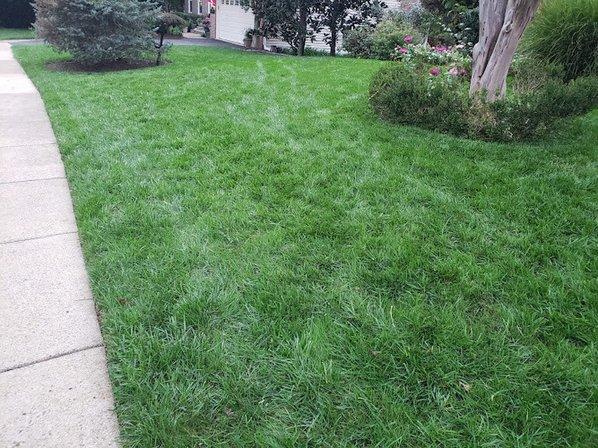 Qualigreen Lawn Care