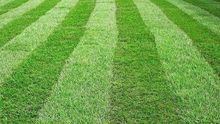 Chantilly Turf Farms, Inc.