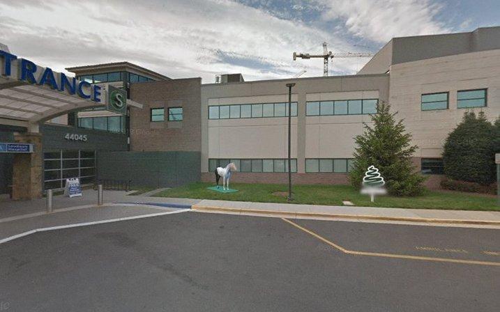 Loudoun Hospital Med Records