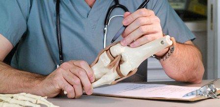 Virginia Orthopedics Sports Medicine Doctors