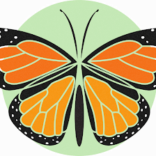 Metamorphosis Environments