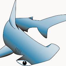 Hammerhead Construction
