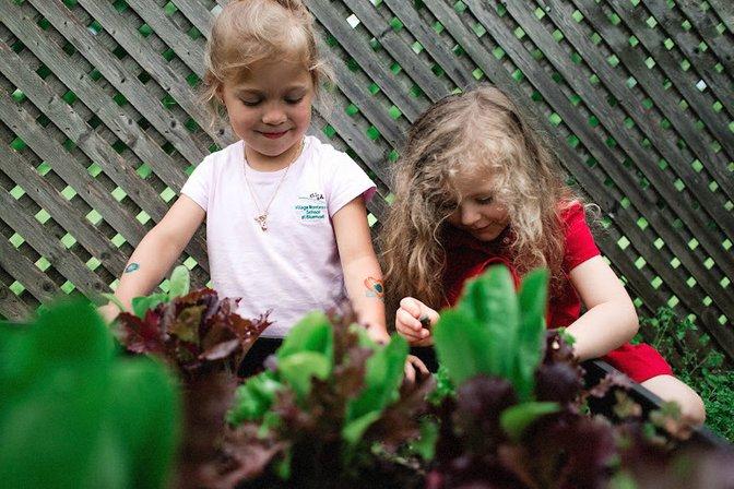 Village Montessori School of Bluemont