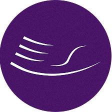 Palmercare Chiropractic - Lovettsville