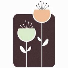 Allergy & Asthma Center of Manassas