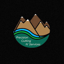 Precision Cutting N' Services