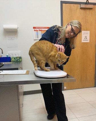 Fairfax Ridge Animal Hospital