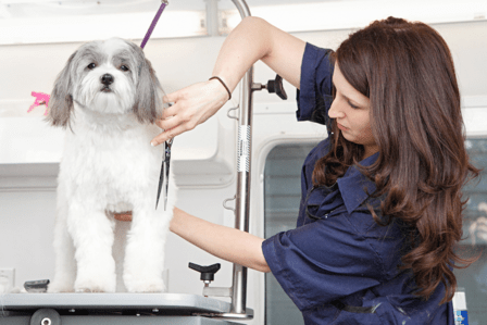 Woofie’s® of Ashburn-Leesburg