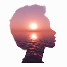 Mind Stability, LLC