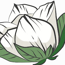 Magnolia's Natural Nail Care Clinic