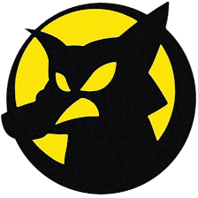 Gustavo Machado Brazilian Jiu-Jitsu Fairfax