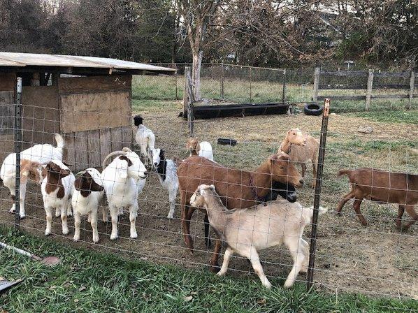 Lutheran Valley Farm