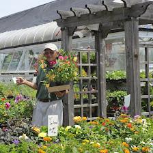 Abernethy & Spencer Greenhouse and Garden Center