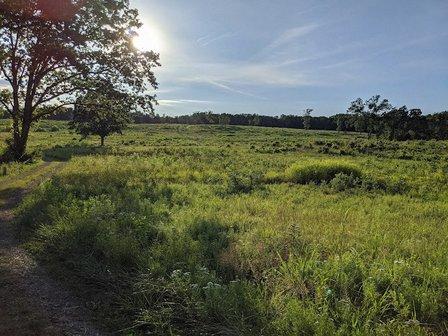 Deep cut trail
