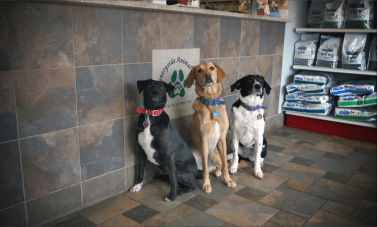 Countryside Animal Clinic