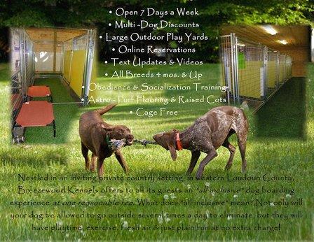 Breezewood Kennels