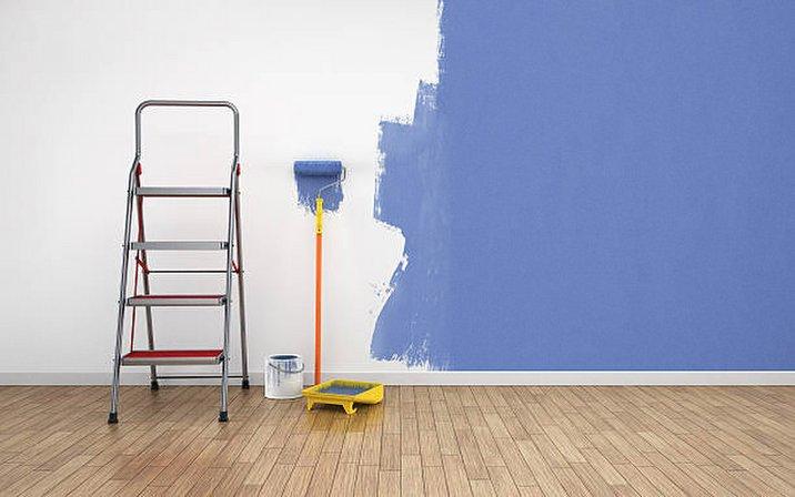 Lumina Interiors Painting