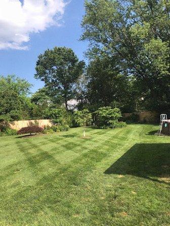 Hernandez Lawn Care