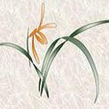 Health Advantage Yoga Center Inc