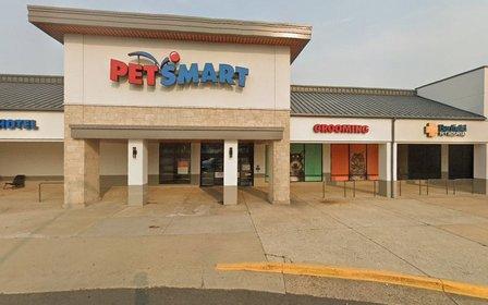 PetSmart Dog Training