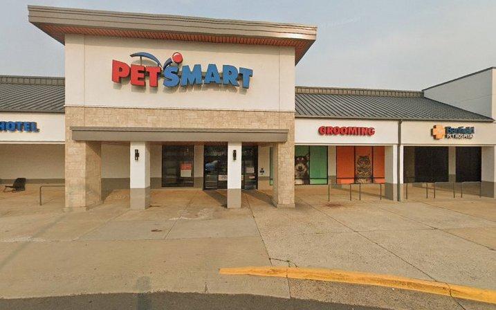 PetSmart Dog Training