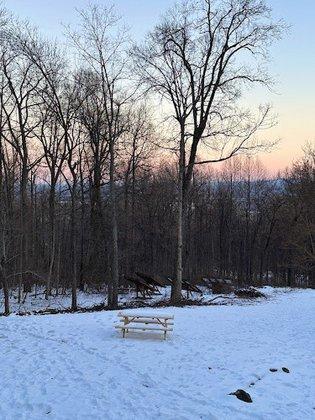 Little Tree Huggers - Bluemont