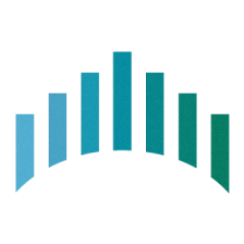 KP Insights LLc